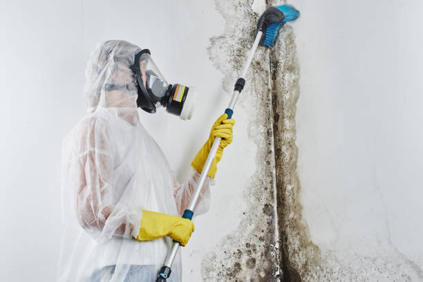Best Crawl Space Mold Removal  in Durham, NC