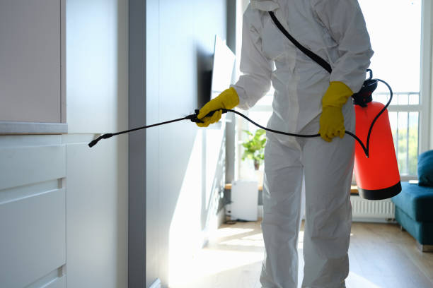 Certified Mold Removal in Durham, NC